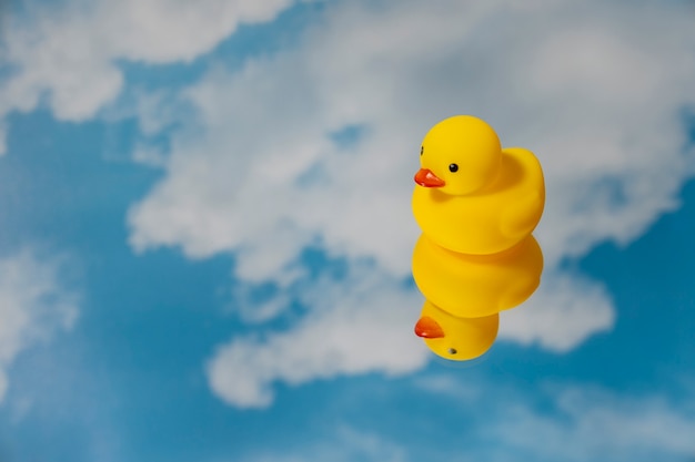 Free Photo cute rubber duck still life