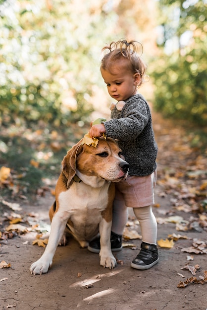 Free Photo cute small girl playing with beagle dog