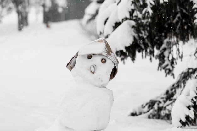 Free photo cute snowman in forest