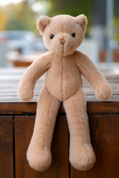 Cute teddy bear outdoors still life