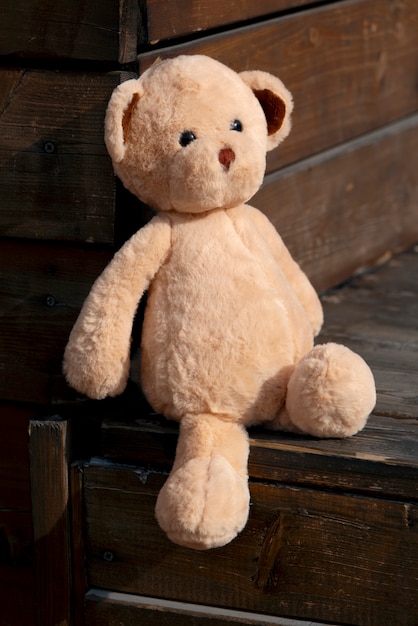 Cute teddy bear outdoors still life