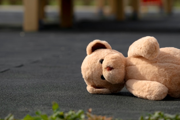 Free photo cute teddy bear outdoors still life