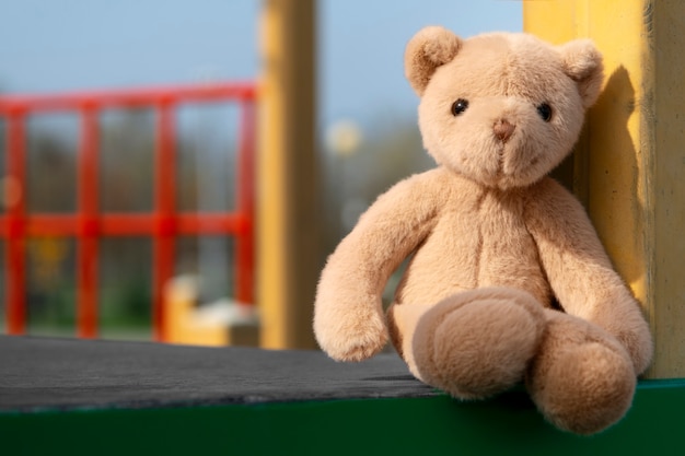 Cute teddy bear outdoors still life