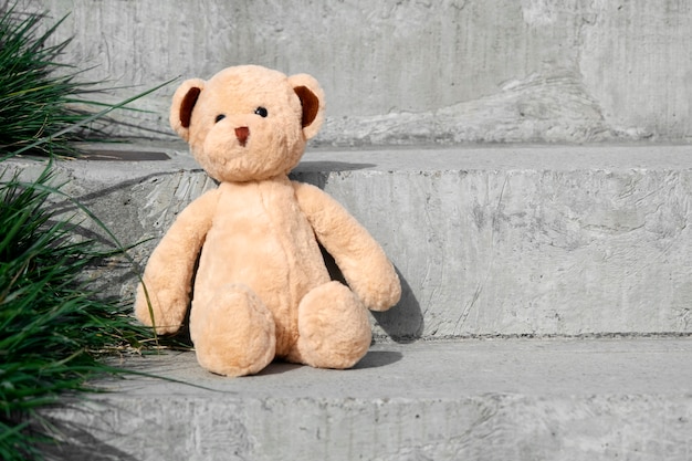 Free photo cute teddy bear outdoors still life