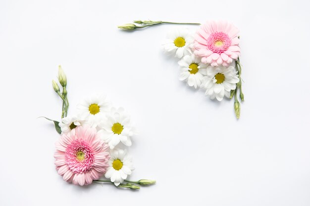 Daisies and buds composition