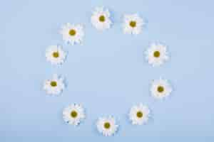 Free photo daisies flowers in a circular shape