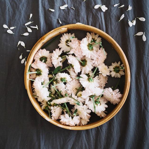 Free photo daisies in wooden circle