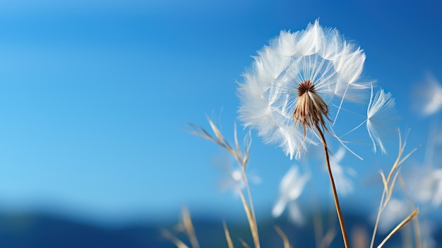 Free photo dandelions delicate seeds poised for flight stand out against a soft blue background