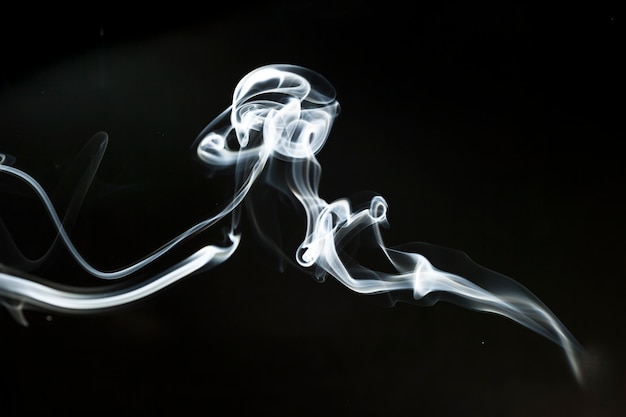 Free Photo dark background with decorative smoke silhouette