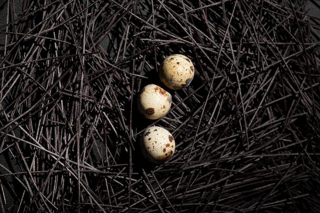 Free photo dark nest with quail eggs