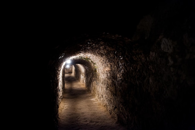 Free Photo dark scarry tunnel with a few lights under the castle