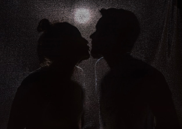 Free photo dark silhouettes of kissing couple