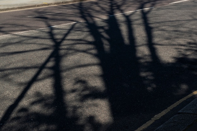 Day in the city with architecture shadows