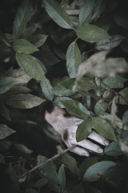 Free Photo dead hand protruding of grass