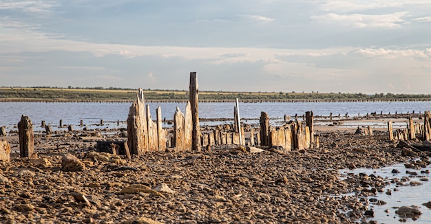 Free photo a dead lake and old salt logs peep out of the water