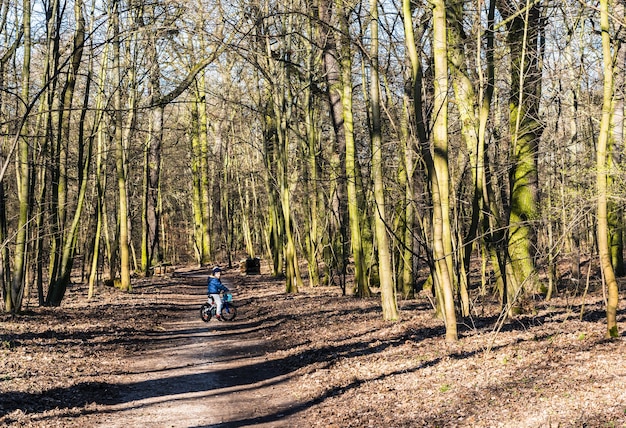 Free photo debiec forest with kid.