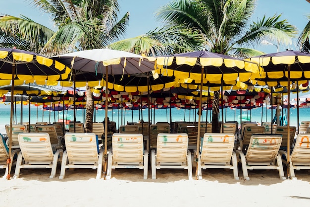 Free Photo deckchair on beach