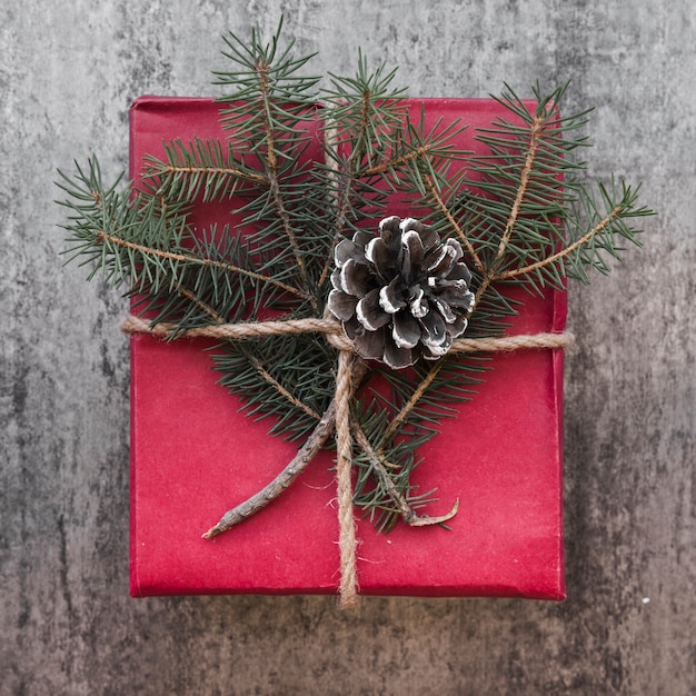 Decorated gift box with snag and fir twigs