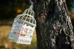 Free photo decoration cage in autumn forest