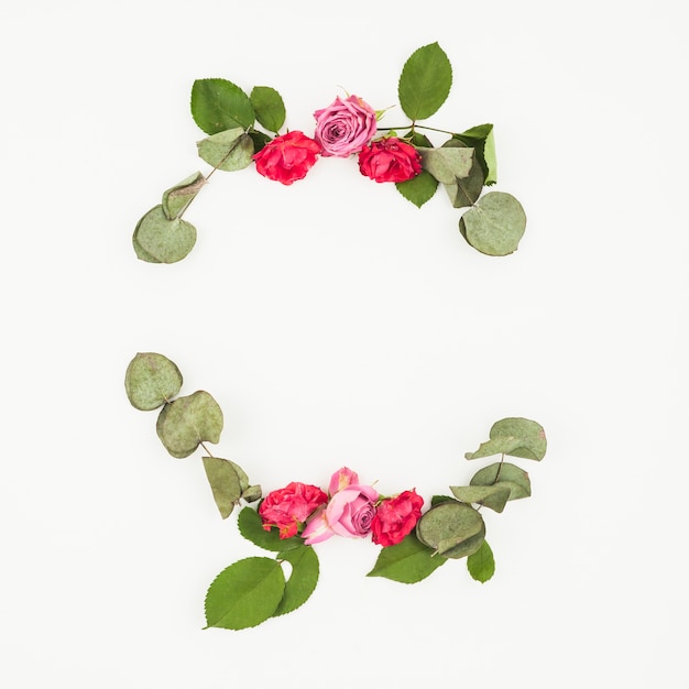 Decoration of roses and leaves on white backdrop