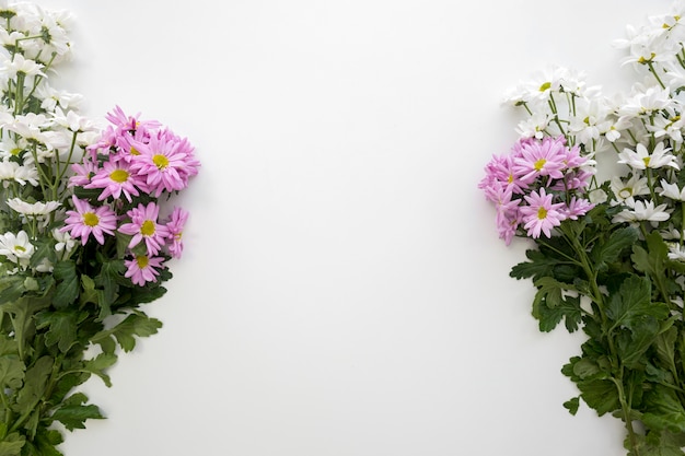 Free photo decoration of white and pink daisy flowers over white background