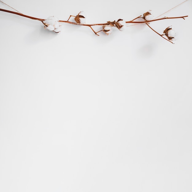 Decorative background with branch