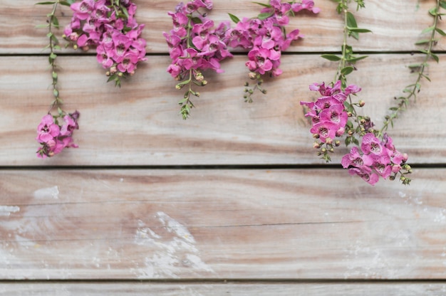 Decorative background with planks and cute flowers