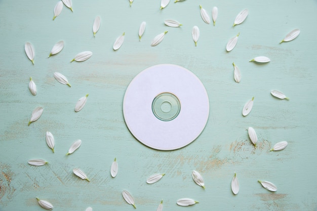 Free Photo decorative cd mockup