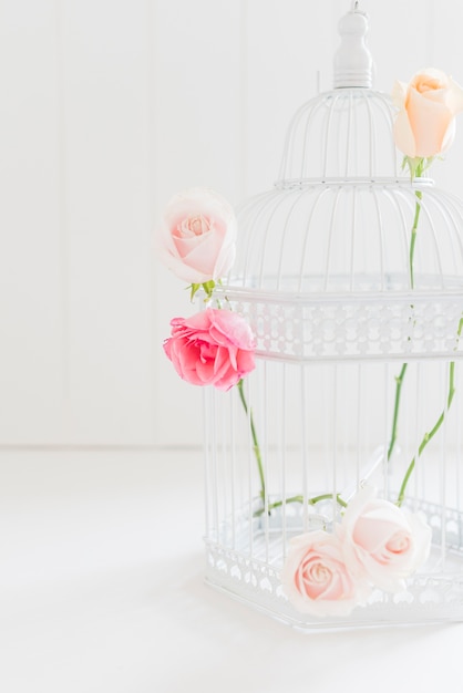 Free photo decorative colorful roses in a cage