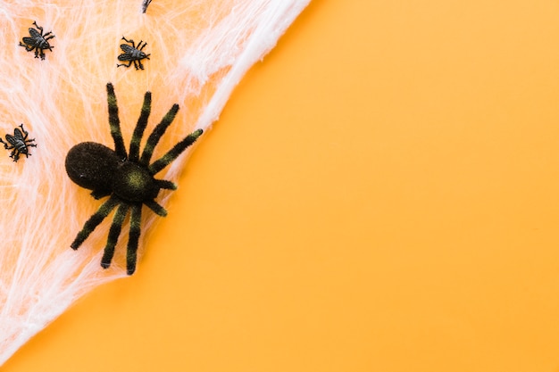 Free Photo decorative composition for halloween with spiders