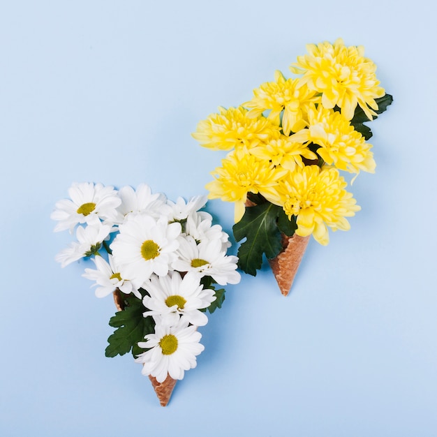 Decorative daisy flowers