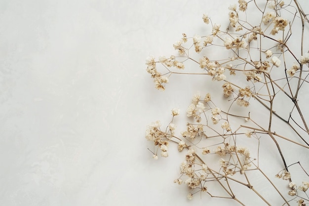 Decorative dreamy arrangement with dried flowers