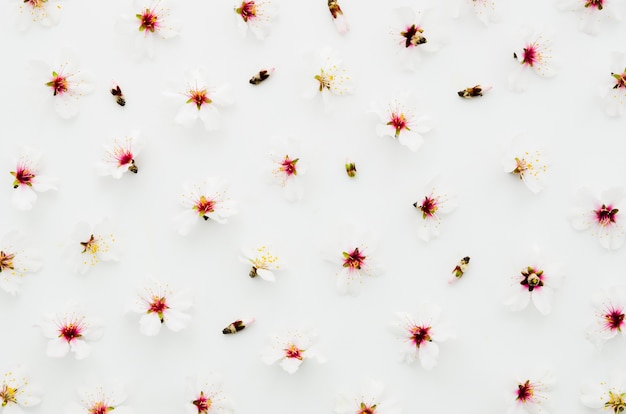 Free photo decorative floral pattern