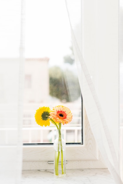 Free photo decorative flowers in a vase