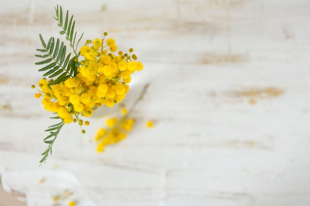 Decorative flowers with blurred background