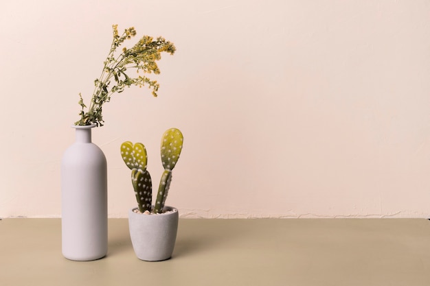 Free photo decorative plant inside minimal vase