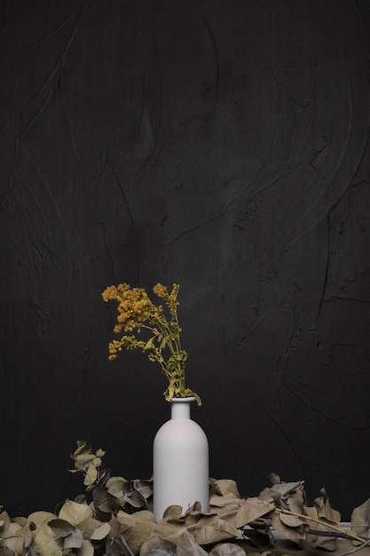 Free photo decorative plant inside minimal vase