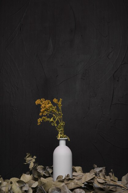 Decorative plant inside minimal vase