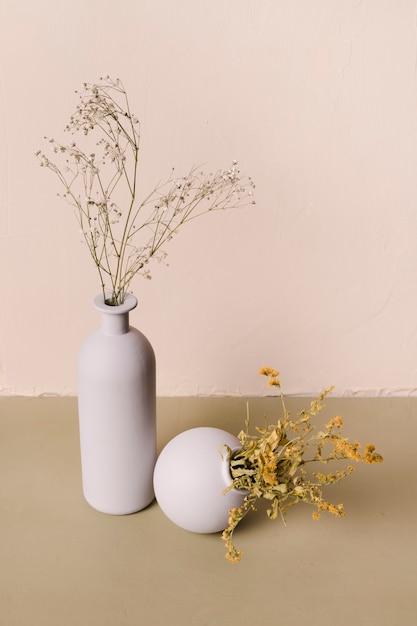 Free photo decorative plant inside minimal vase