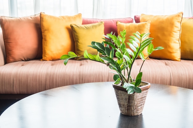 Free photo decorative plant in the living room