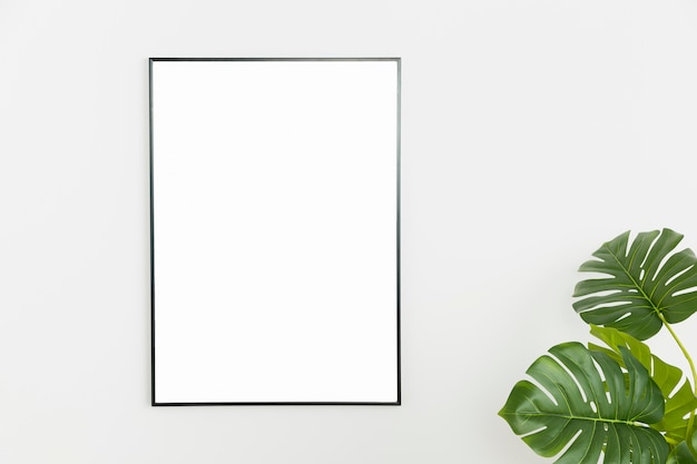 Decorative plant with empty frame