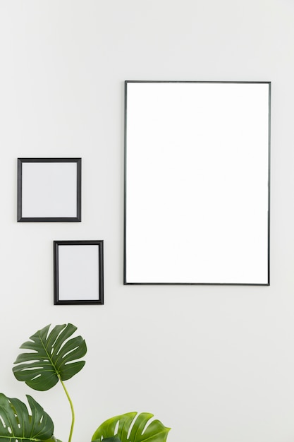 Free photo decorative plant with empty frames