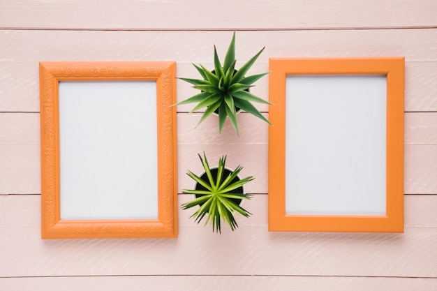 Free photo decorative plants between minimalist frames