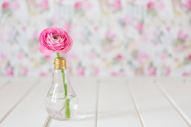 Free photo decorative pretty flower with blurred background