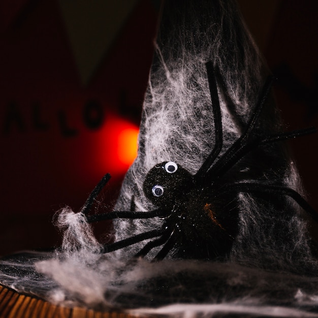 Free Photo decorative spider on witch hat