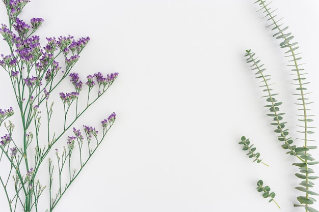 Decorative vegetation on white background