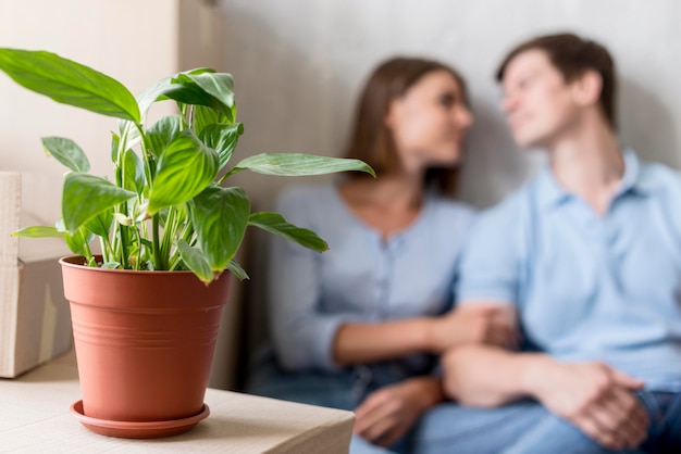 Defocused couple taking a break from packing to move with plant