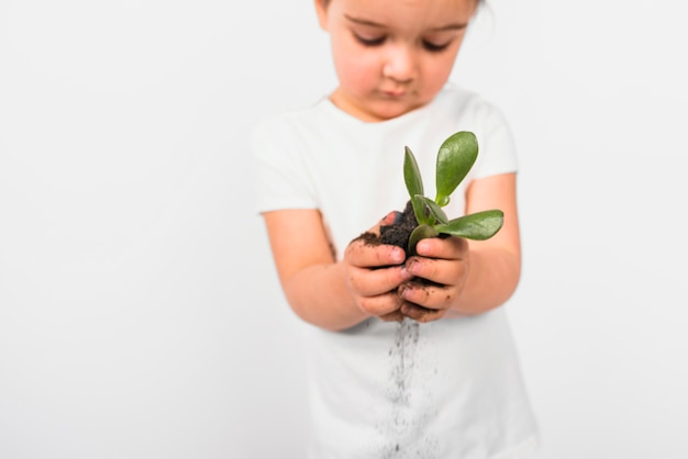 Defocused girl holding plant in his hand isolated on white backdrop