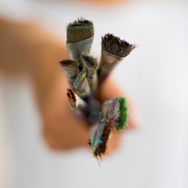 Defocused person holding paint brushes