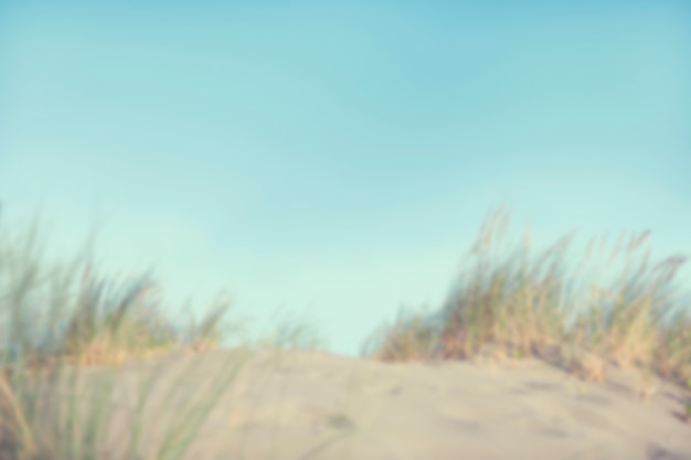 Free Photo defocused sand dunes with grass 